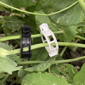 Clips en plastique pour tomates, supports <span class=keywords><strong>de</strong></span> treillis pour plantes grimpantes <span class=keywords><strong>de</strong></span> jardin, pour la culture <span class=keywords><strong>de</strong></span> légumes en serre - Product Image 2