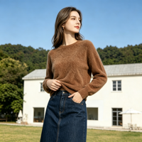 Pull-over en cachemire 100% pour femme, décontracté, respirant, à motif uni, manches longues, col rond, pour l'automne