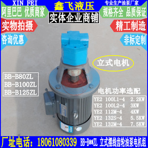 Unidad de Motor de Bomba de Engranajes Vertical Serie BB-B de Hierro Fundido para Lubricación de Máquinas Herramienta - Product Image 3