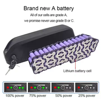 Batterie de vélo électrique personnalisée Hailong 48V 52V 60V 20Ah 15Ah au lithium-ion pour vélo électrique