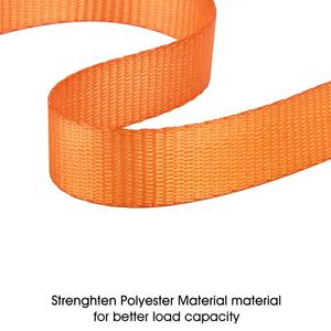 Correa de Amarre con Hebilla de Leva <span class=keywords><strong>FRIMA</strong></span>, Personalizada, Resistente a la Intemperie, Capacidad de 250 kg, Cinta de Poliéster de 1 pulgada x 10 pies con Ganchos en S - Product Image 3