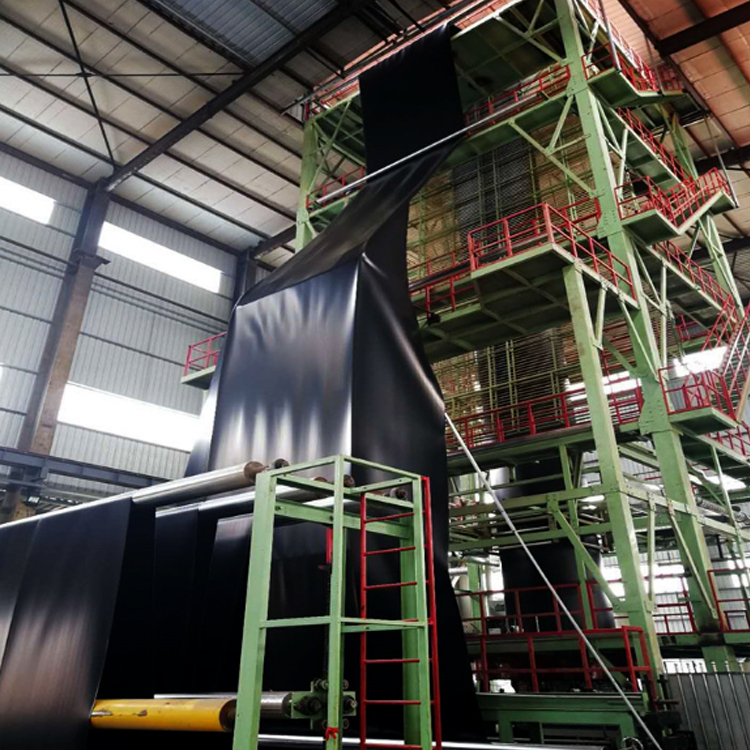 Заводская прямая геомембрана hdpe, подкладка для пруда, геомембраны для рыбной фермы
