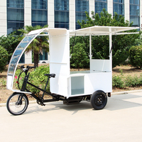 Tricycle à trois roues à pneus larges pour adultes, vélo de livraison express motorisé puissant pour marchandises lourdes