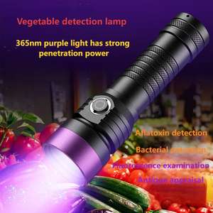 Z03 12W Промышленный УФ-фонарь с черным зеркалом, фиолетовым и дневным светом, регулируемой яркостью, перезаряжаемый, 365 нм, IP65, водонепроницаемый, из алюминиевого сплава - Product Image 3