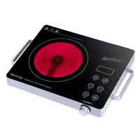 Cuisinière infrarouge électrique multifonction portable 110V en acier inoxydable 3500W, classe énergétique A, pour extérieur et hôtel, vente en gros