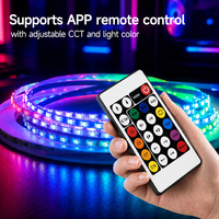 Lampu Strip LED RGB Addressable Ultra Narrow 3mm 0807 5V 160 LED/m 2 LED Dapat Dipotong Fleksibel Pita LED Pixel IC LED Strip