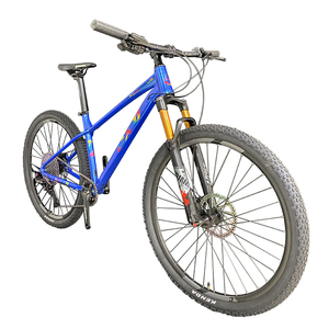 Popular aluminio adulto SUSPENSIÓN COMPLETA <span class=keywords><strong>29</strong></span> "fibra de carbono 12S cojinete cubo aceite disco freno Bicicletas marco bicicleta de montaña - Product Image 1