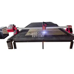 Flame Cutting Machine RAYLINE Laser CNC 2060 Table Cnc Plasma And Flame Cutting Machine With 125A 200A Source