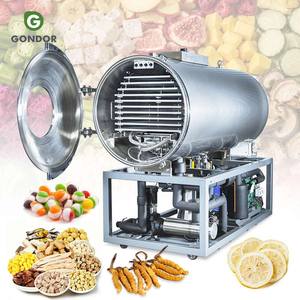Lyophilizer Freeze Industrial Liofilizador Dried Dry Freezing <b>Drying</b> Dryer Machine <b>Equipment</b> for Food - Product Image 1
