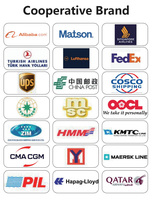 Expédition maritime porte-à-porte, service DDP, livraison LCL, transitaire express de Chine vers l'Allemagne/la France/le Royaume-Uni/la Pologne