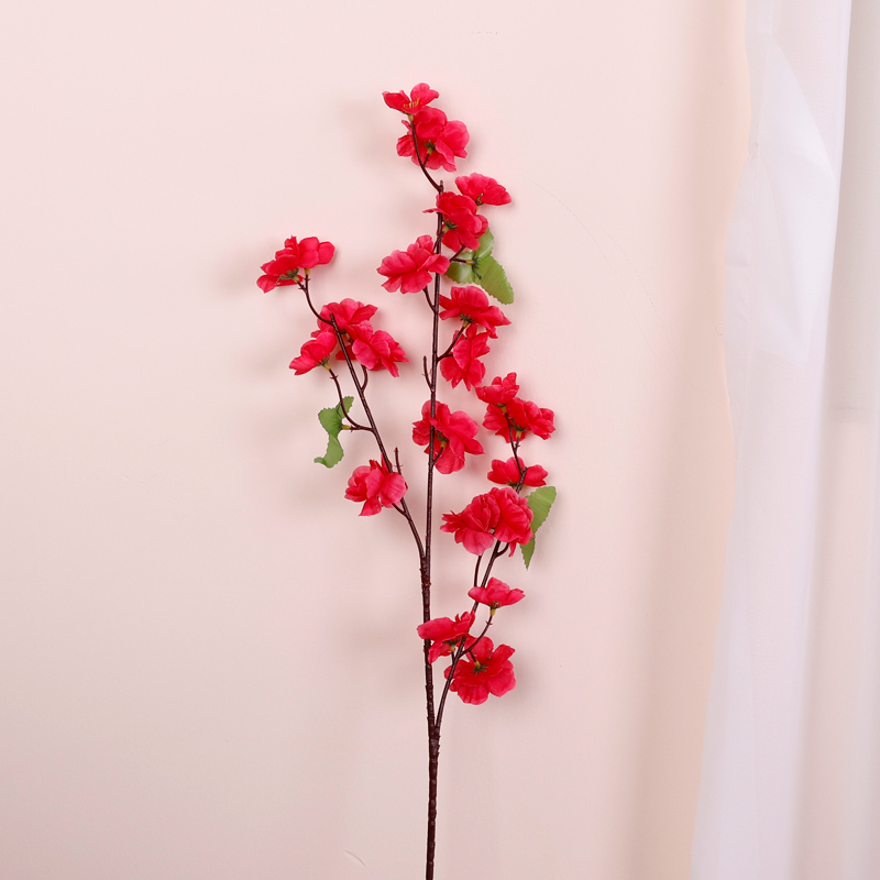 สีแดง
