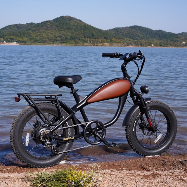 Factory Direct Premium Quality Electric Bike 500W E Bike Fact Tire Electric Bicycles for Off-Road