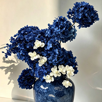 Fleur naturelle premium, véritable, durable, grande tête, hortensia à grandes feuilles, fleur séchée pour remplissage de boîte cadeau