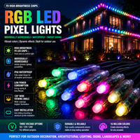 Ampoule LED RGB programmable et adressable, étanche, pour éclairage intelligent de paysage, de bâtiment et de décoration architecturale