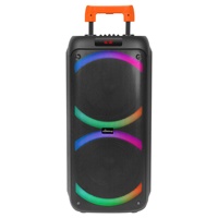 Altavoz Bluetooth con Asa Telescópica, Altavoz con Doble Woofer de 8 Pulgadas, Batería Recargable, USB, TF, FM, TWS, Micrófono Inalámbrico Individual