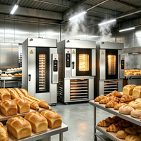 Four électrique/gaz à 10 plaques, four à convection à air chaud, équipement de cuisson pour grands pains en stock