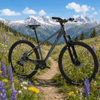 Vélo VTT en aluminium de 27,5 pouces avec cadre à passage interne des câbles, 10 vitesses, mono-pignon, freins à disque hydrauliques, suspension à ressort, QR