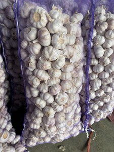 Bán Buôn Giá Cao Cấp Tươi Màu Trắng Và Màu Đỏ Tỏi Cho Xuất Khẩu Tỏi Tươi Ajo Alho - Product Image 4