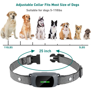 Typ-C USB-Aufladung Wasserdichtes Haustier-Antibell-Stopper und Trainingshalsband Verstellbares Nylon Anpassbares Halsband 300M Drahtlose Fernbedienung - Product Image 2