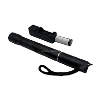 Lampe torche laser portable anti-oiseaux, dissuasif et répulsif pour pigeons et moineaux