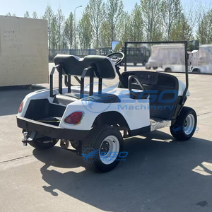 Multi-functional Electric Golf Cart 2-seater with Lithium <b>Battery</b> 30-40Km/h Speed 80-100km Range - Product Image 5