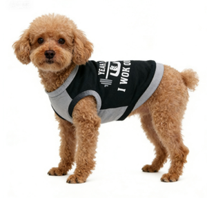 Küçük Köpekler İçin Sıcak Fırsat Köpek Kıyafetleri Yelek Pamuklu Sweatshirt Spor Tasarım Yaz 2026 - Product Image 2