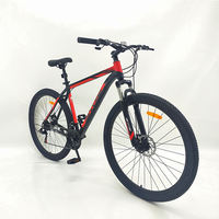 Chinese Carbon Mountain Bike: Quality Value in 2025