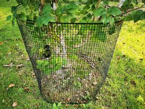 15.7IN X 10FT rotolo di <span class=keywords><strong>rete</strong></span> metallica di plastica recinzione in <span class=keywords><strong>rete</strong></span> di pollo recinzione in plastica <span class=keywords><strong>rete</strong></span> da giardino per pollame - Product Image 6