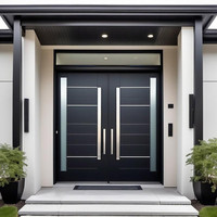 Porte d'entrée double sur mesure avec cadre en acier robuste, traitement de surface anti-corrosion, fournisseur