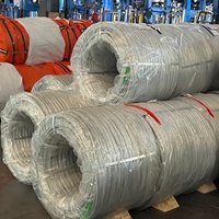 Fil d'acier galvanisé fabriqué en Chine, prix compétitif, livraison rapide, fil GI