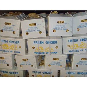 ธรรมชาติและอินทรีย์ฟาร์มปลูกขิงสด - Product Image 5