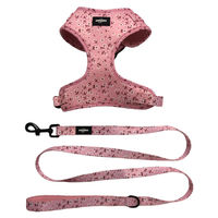 Ensemble de harnais pour chien avec accessoires, distributeur de sacs, en polyester et néoprène, motif fleur rose, harnais de cou réglable pour animaux de compagnie, laisse et collier tendance
