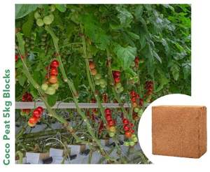 Chips de Fibra de Coco Orgánica, 5 kg, Bloques Comprimidos, Ecológicos, Sustrato Natural para Camas de Mascotas, Suministro Directo de Fábrica - Product Image 1