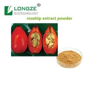 Rosa Canina tozu askorbik asit C vitamini kapsül ile kalça özü gül - Product Image 4