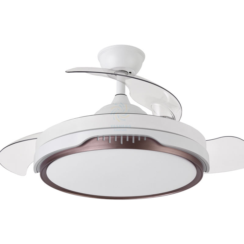 Blanc + or Champagne