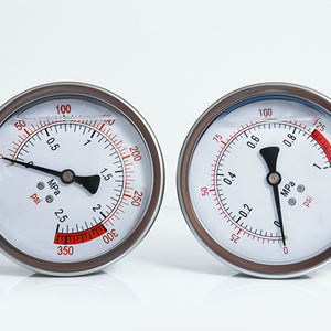 Roestvrijstalen Behuizing Digitale Balkketel Drukmeter 0-15psi Model Yn100 Haiyixing Merk Oem Fabrikant - Product Image 6