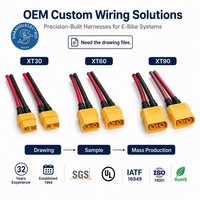 Connecteurs XT30 XT60 XT90 en matières premières de haute qualité, Connecteurs XT30H XT60H XT90H, Faisceau de câblage certifié IATF16949