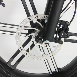 Vélo électrique 20 pouces, usine européenne, pas de droits de douane, ebike 36V/48V G2002A3F, moteur arrière pliable, nouveau modèle de vélo pedelec e - Product Image 3