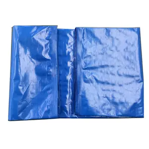 Blue Pe Waterproof Plastic Truck/Container Side Curtain Tarpaulin