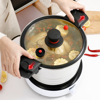 Cuisinière à pression multifonctionnelle en acier inoxydable, micro-cuisinière à pression, nouvelle cuisinière à soupe à basse pression anti-explosion, cuisinière universelle