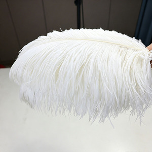 Suministro a granel <span class=keywords><strong>de</strong></span> plumas <span class=keywords><strong>de</strong></span> <span class=keywords><strong>avestruz</strong></span> blancas para cinturones, abrigos, bolsos, carnaval, bodas, disfraces y decoración <span class=keywords><strong>de</strong></span> escenarios. - Product Image 2
