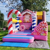 Château gonflable avec toboggan pour les fêtes d'anniversaire des enfants, les événements en plein air et les utilisations commerciales