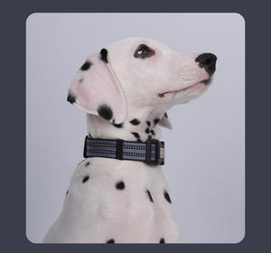 Collar táctico personalizable para perro grabado láser patrón sólido Collar para mascota Correa personalizada estilo lindo Collar para perro - Product Image 1