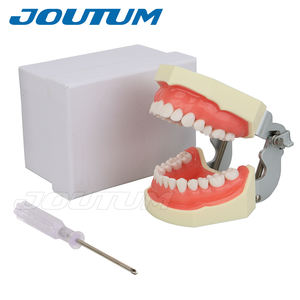28 pezzi di denti rimovibili modello manuale di alimentazione dentale Typodont strumento per l'insegnamento del dentista forniture di laboratorio - Product Image 6