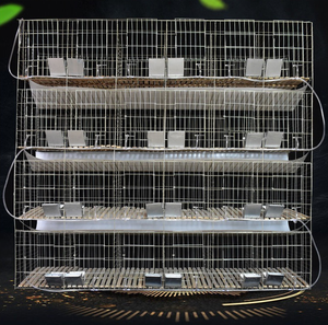 Cage à lapin commerciale cage à lapin agricole complète cages à lapin afrique du sud - Product Image 2