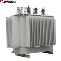 Transformateur de distribution immergé dans l'huile de cuivre Wanbo-233 10KV S11, triphasé, 315KVA, transformateur de puissance pour sous-station IEC