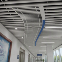Plafond en aluminium en forme de U personnalisé pour l'extérieur, grille linéaire pour plafond, décoration de plafond intérieur et extérieur