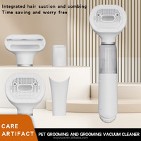Brosse de toilettage multifonctionnelle pour chats, aspirateur et souffleur intégrés, pour animaux à poils longs et courts, possibilité d'emballage personnalisé
