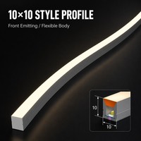 Tira de Luz LED de Silicona para Exteriores, Flexible, Curva en S y con Esquinas, 10x10mm, Emisión Frontal, Epistar, para Delimitación de Edificios, con Control Remoto