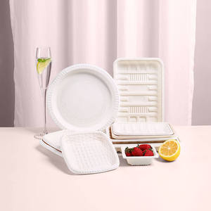 Corn Starch Biodegradable Plate Cheap Sandwich Platters Square Disposable Dinner Plates